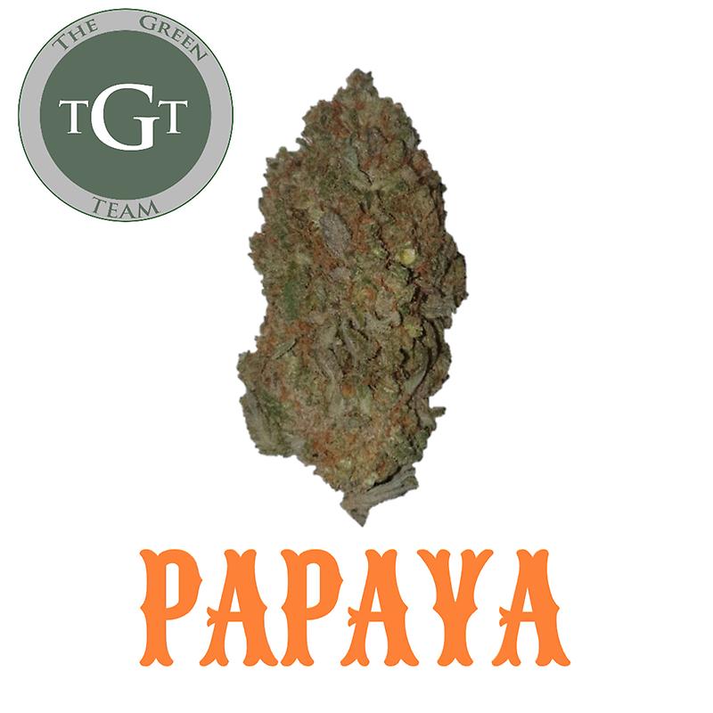 PAPAYA *EXCLUSIVE*