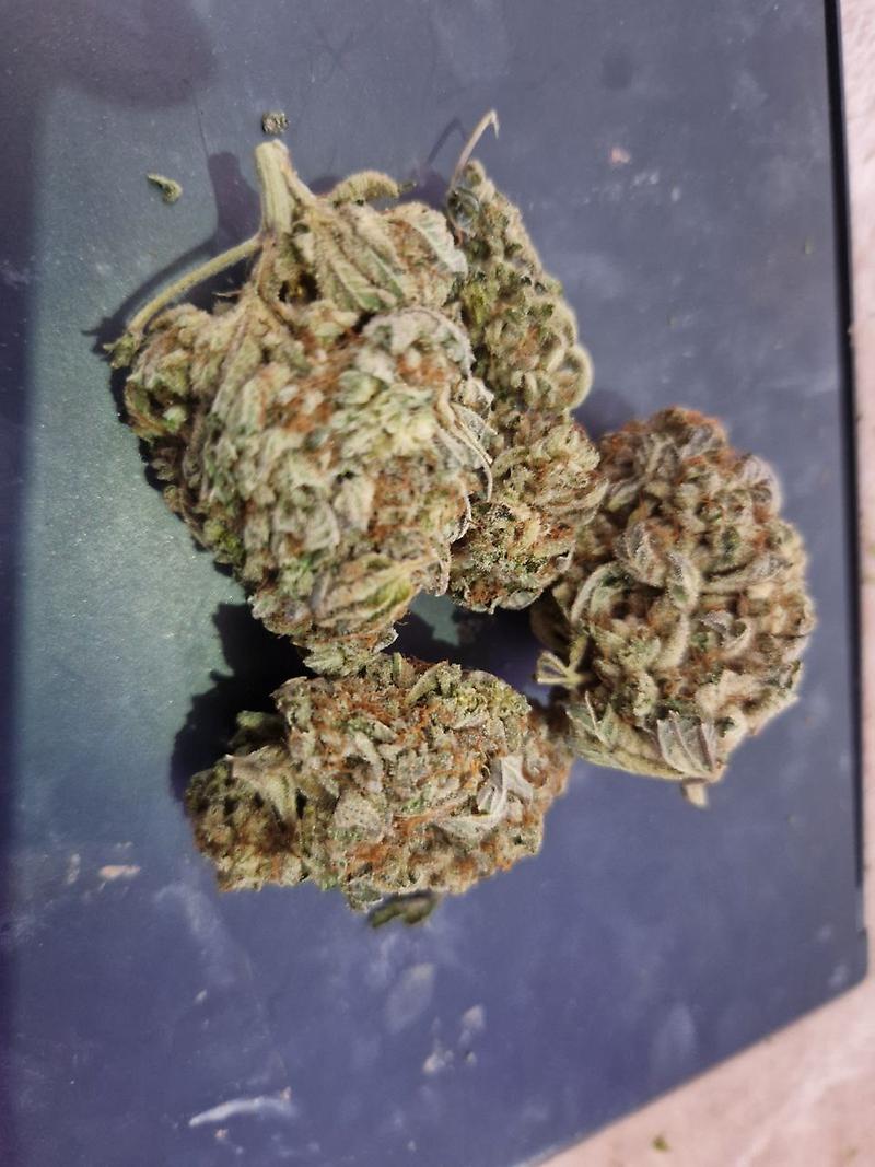 Stardawg Oz's