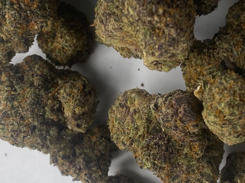 ***BISCOTTI X RUNTZ***