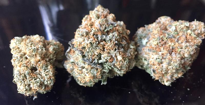 LARRY OG x GIRL SCOUT COOKIES