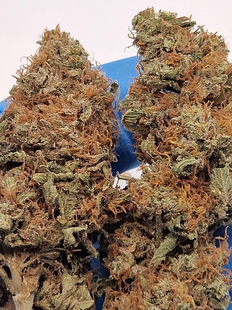 Cookie Dawg - Perfectly Cured & Flushed - Superb High