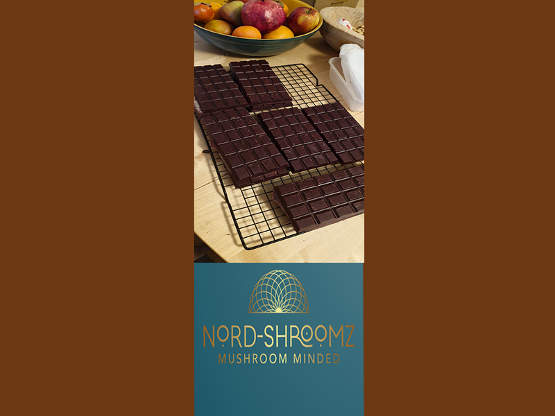 4g Cacao Mushroom Bars