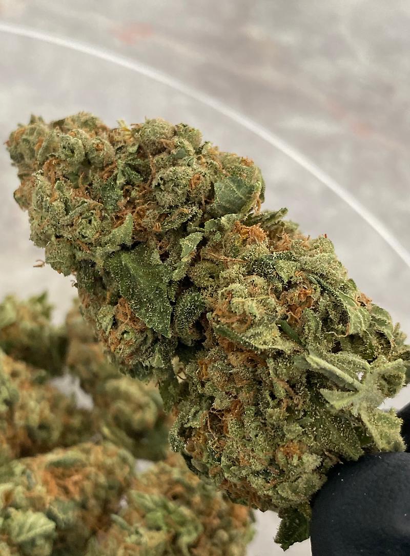 #WATERMELON 🍉 ZKITTLEZ 🍬#