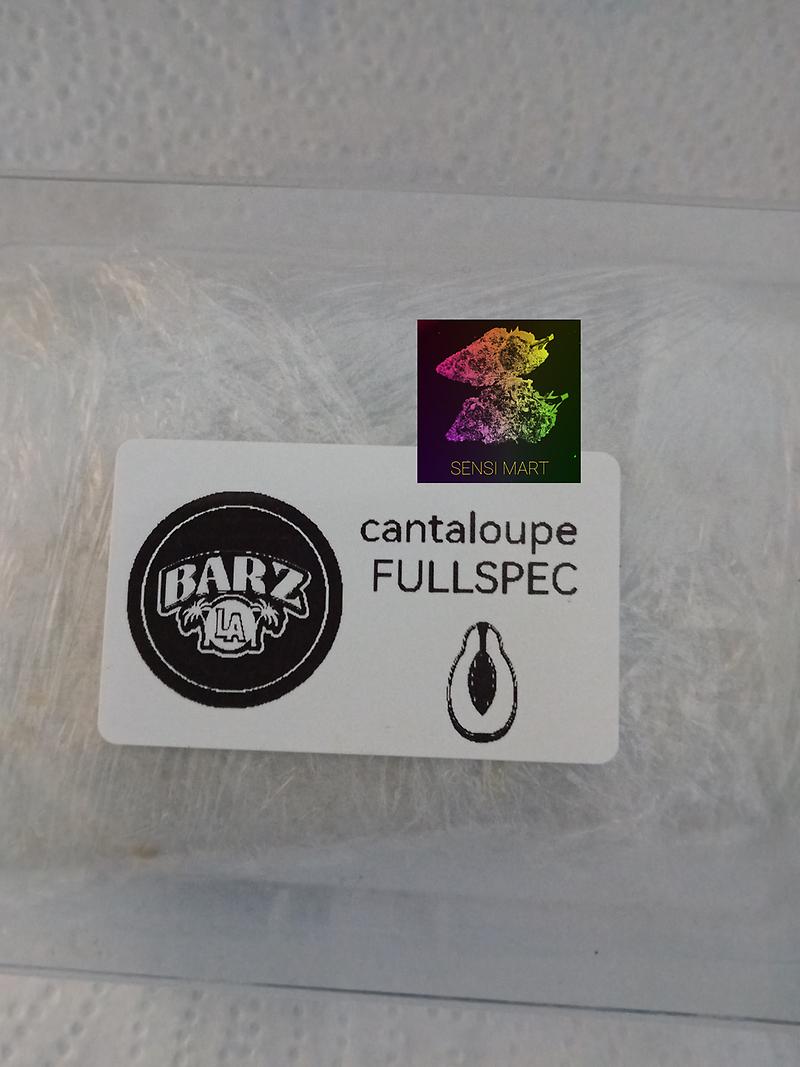 PREMIUM WPFF FULL SPEC HASH