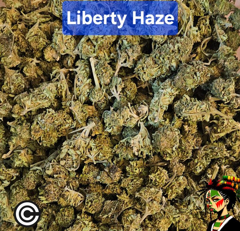 Liberty Haze - Organic UK Outdoor Grow 2024