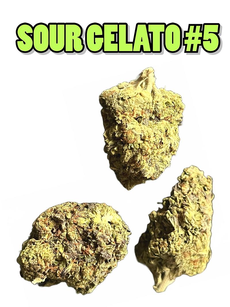 SOUR GELATO - TOP TIER IMPORT