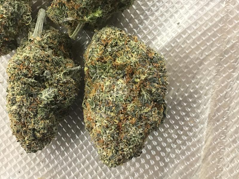 SUNSET SHERBET SPANISH IMPORT INDOOR LED LIGHT GROWN