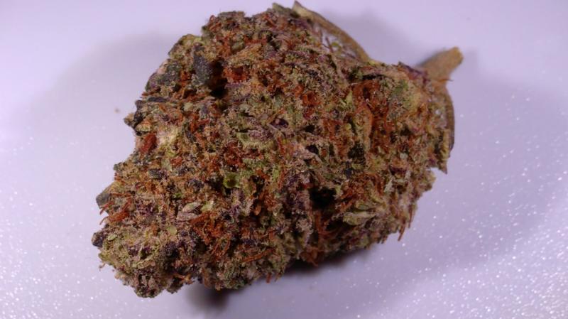 SAUVIGNON BLANC - 𝘌𝘚 AUTOFLOWER