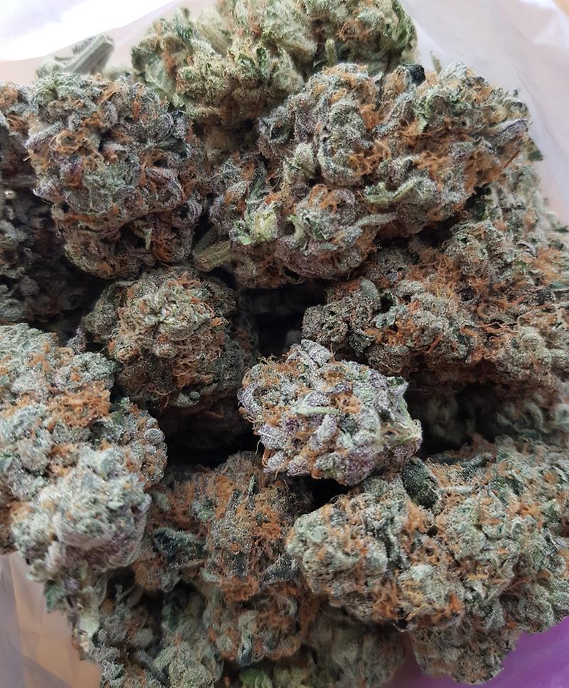 **BLUE GELATO**