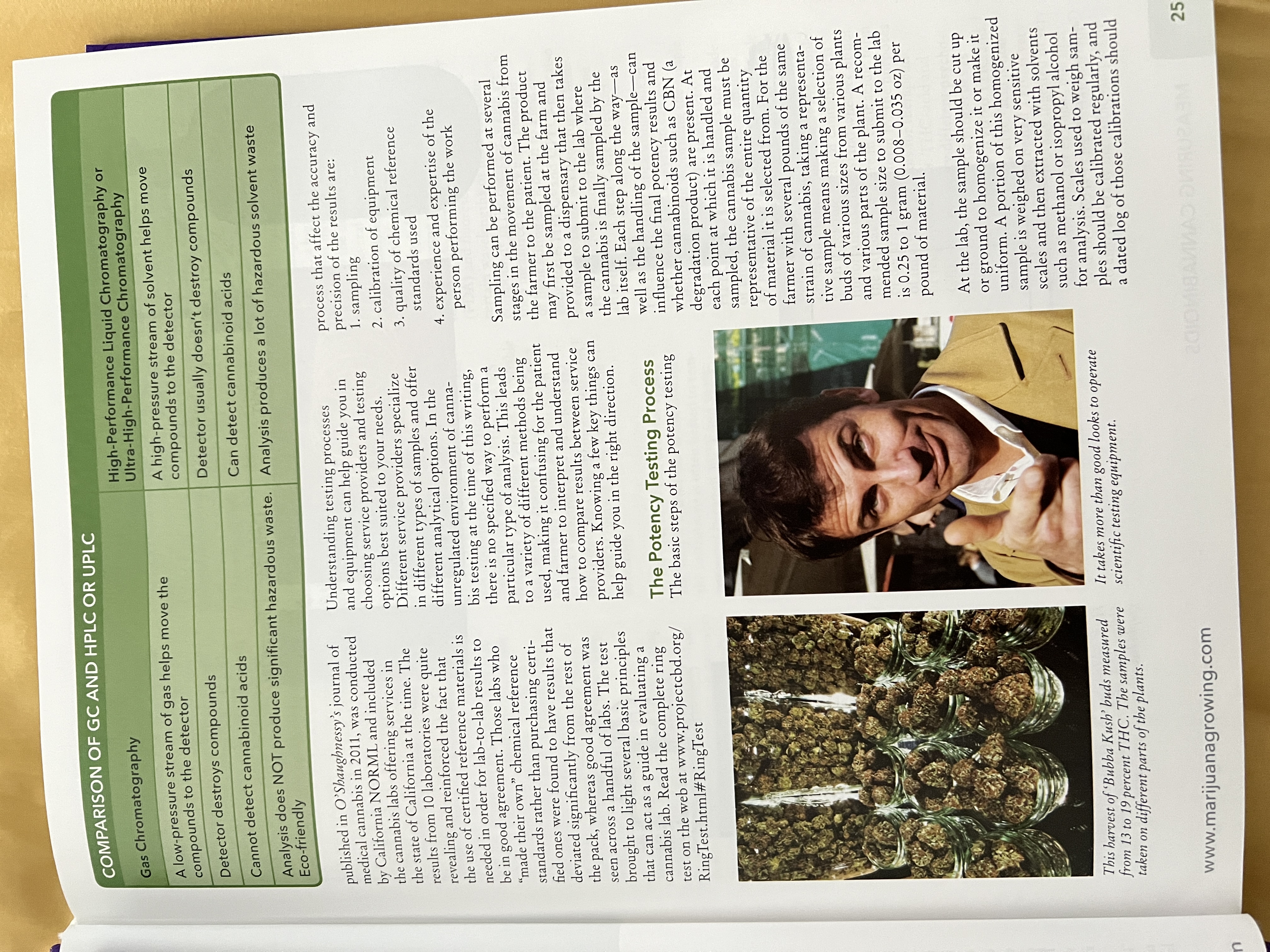 The Cannabis Encyclopaedia by J.C