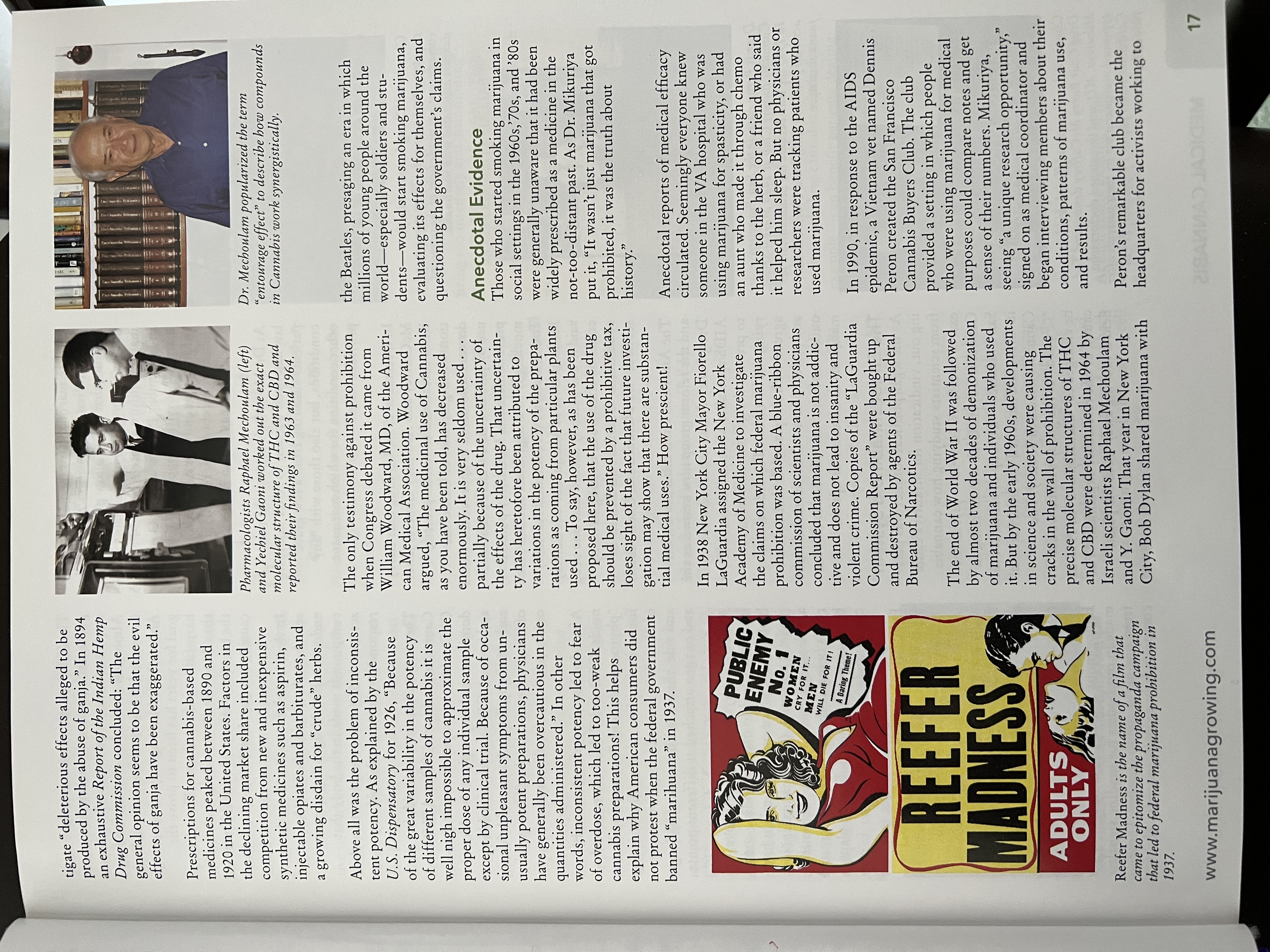 The Cannabis Encyclopaedia by J.C