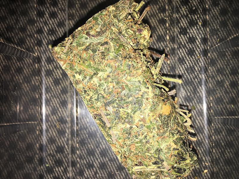 Thai Sensimilla Weed