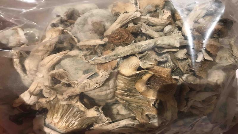 3 grams Organic Golden Teacher Mushrooms