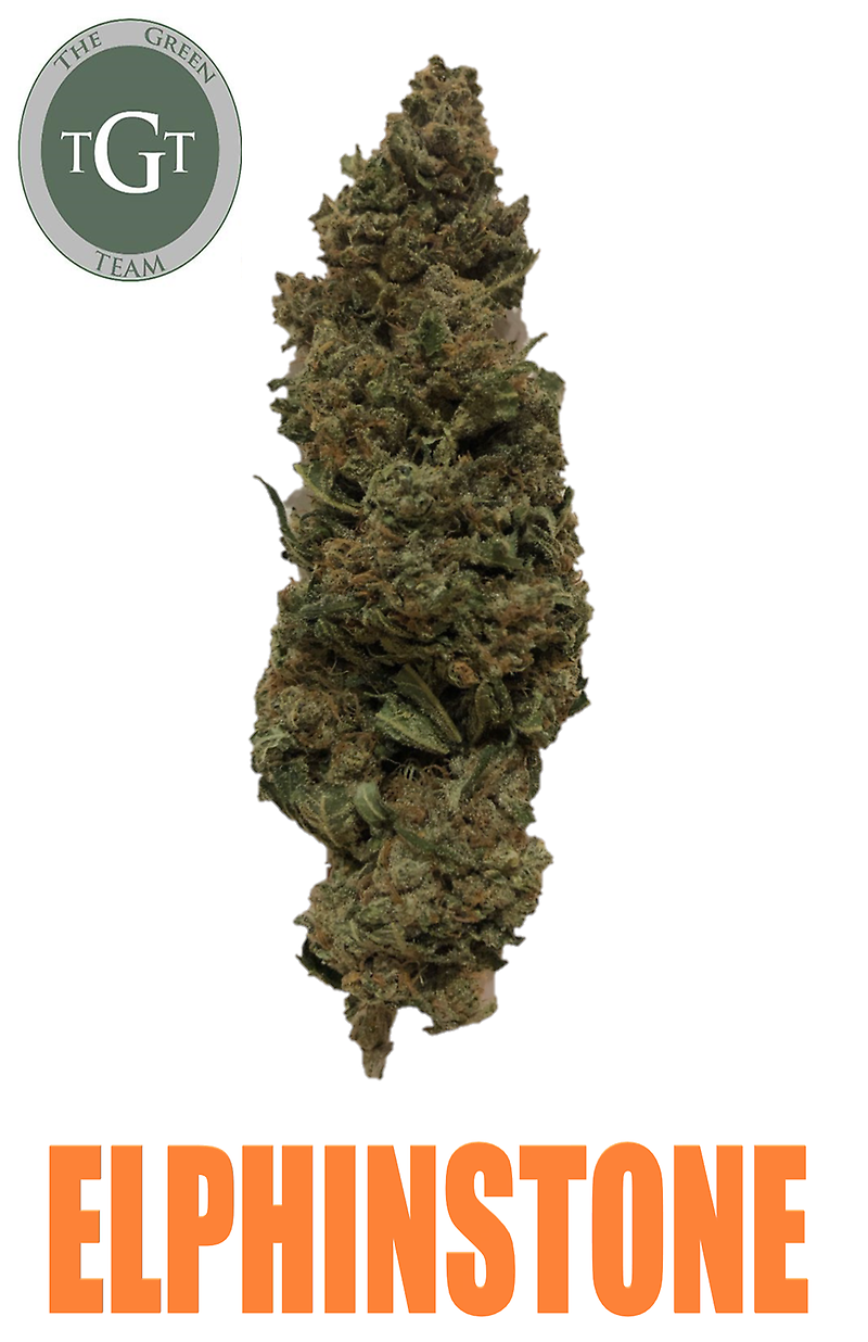 ELPHINSTONE *EXCLUSIVE*