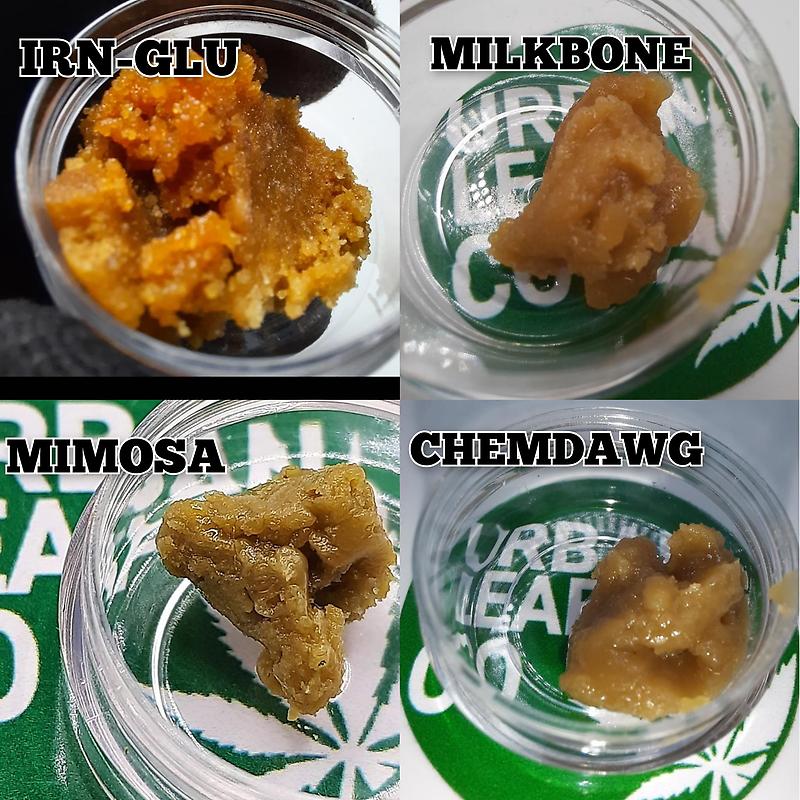 **CONCENTRATE COLLECTION PACK**