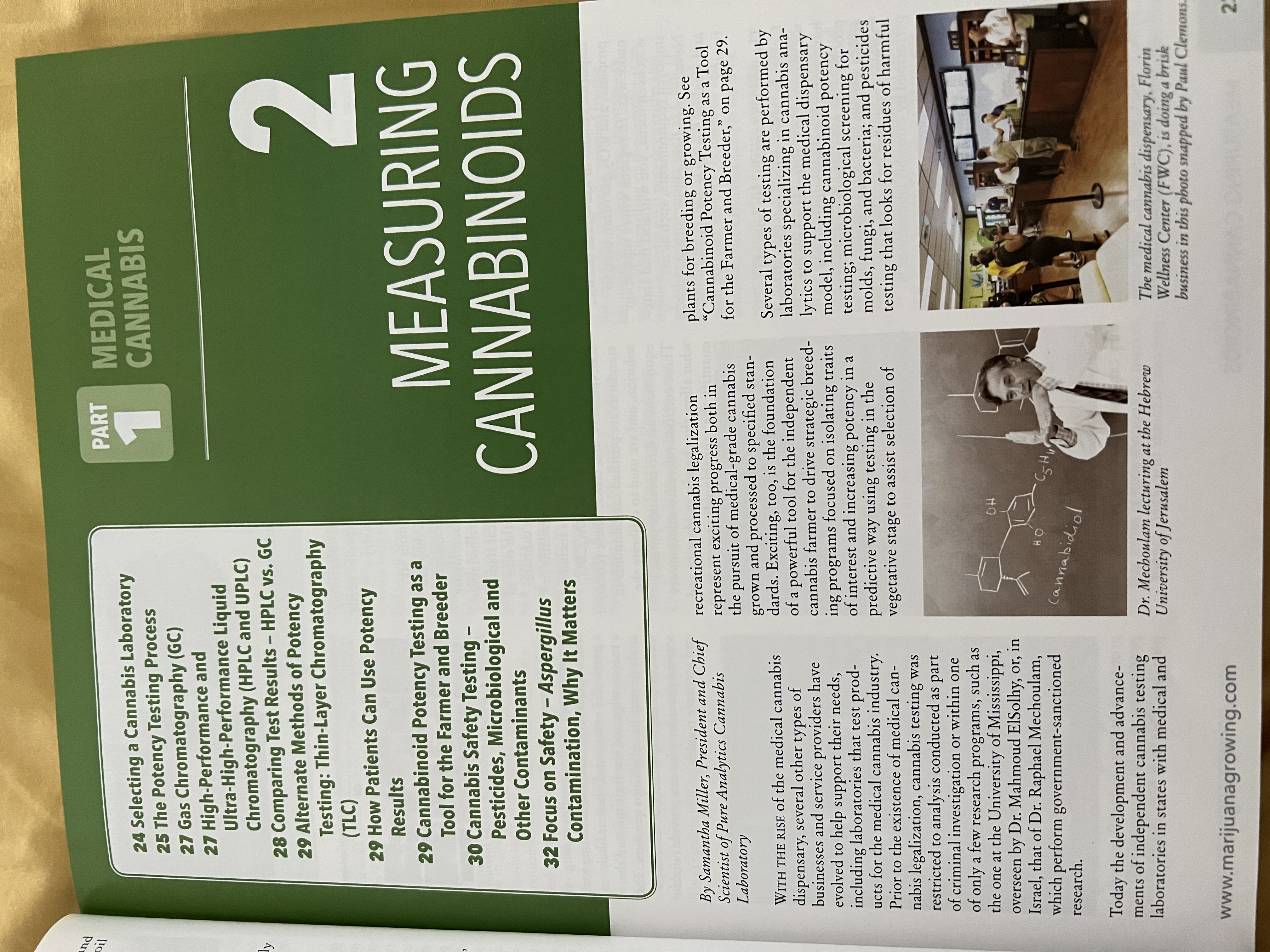 The Cannabis Encyclopaedia by J.C