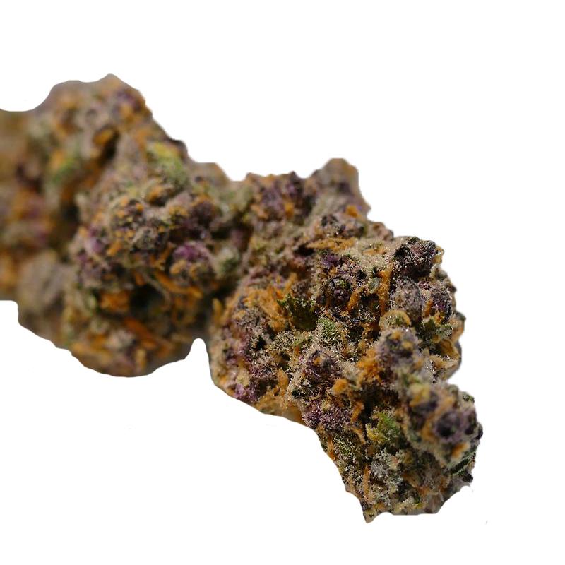 Divine Grade: Cali "Sirius Black" Indica