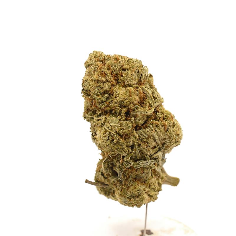 Divine: Canadian Dense & Dangerous "Death Bubba"