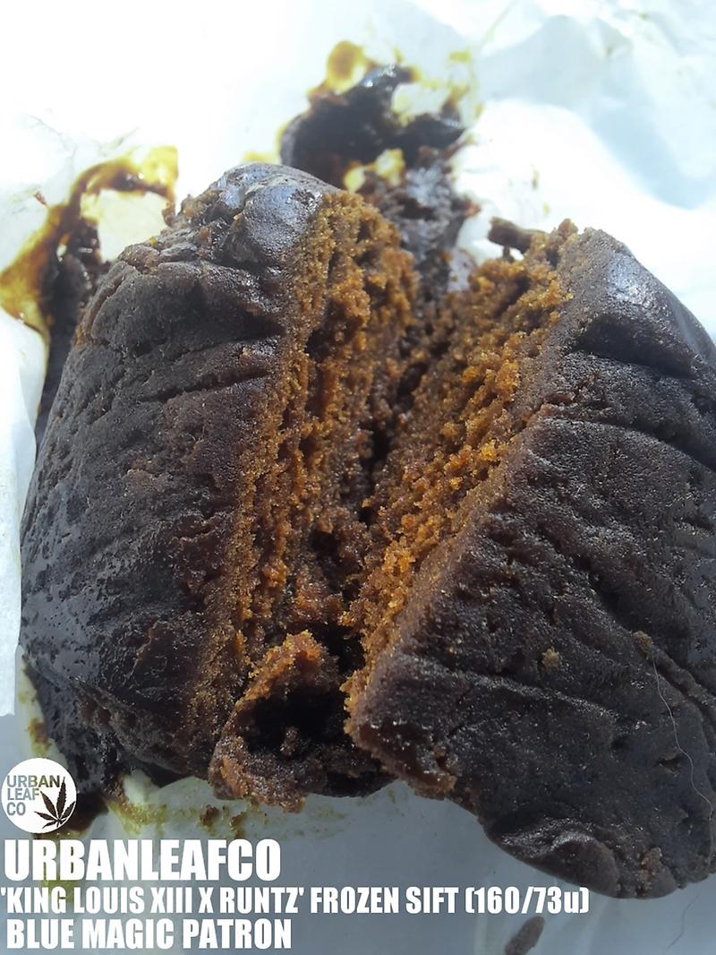 KING LOUIS XIII X RUNTZ - BLUE MAGIC PATRON