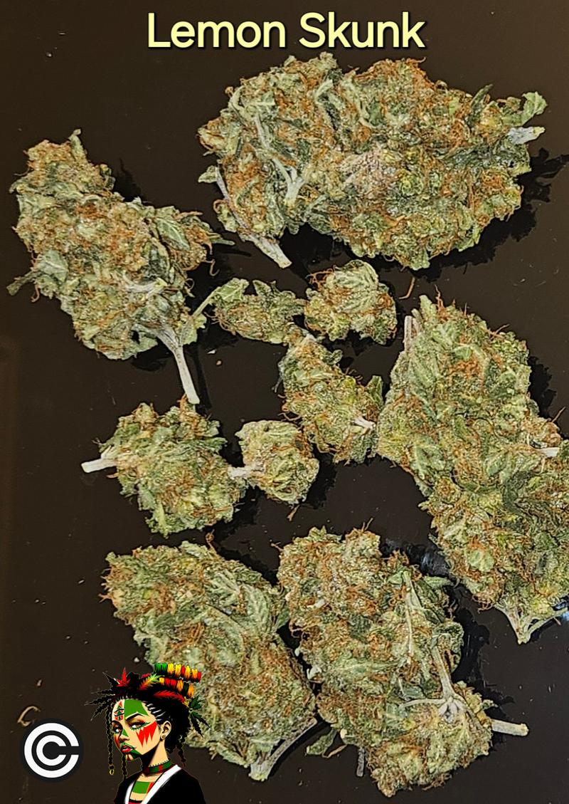Lemon Skunk
