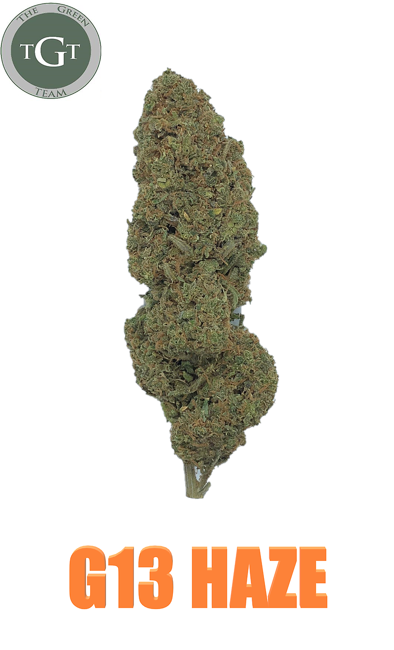 G13 HAZE