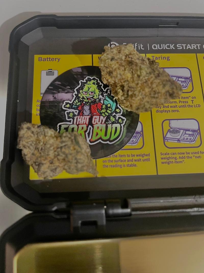 Shadow and Zoppy Cali by ZourZop