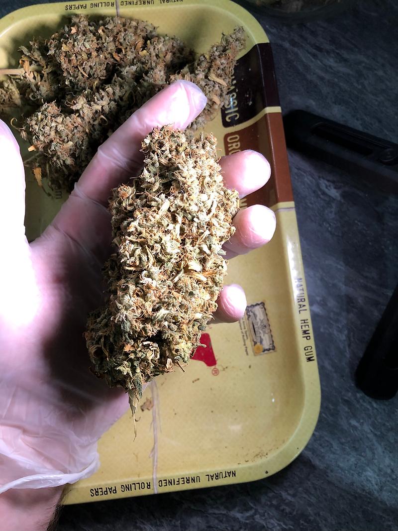 Wedding Cake (Cherry Pie x GSC x OG Kush)