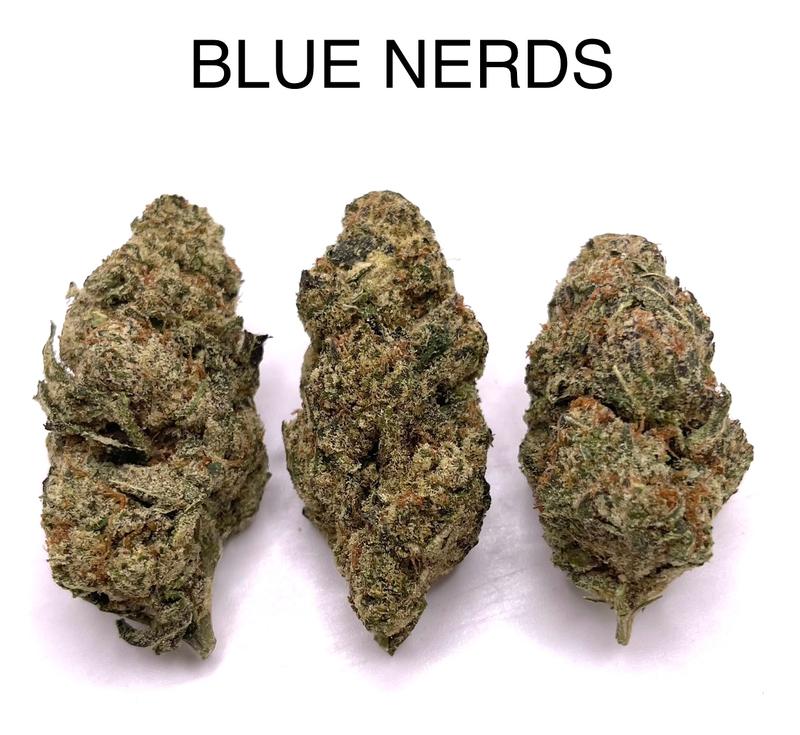 BLUE NERDS
