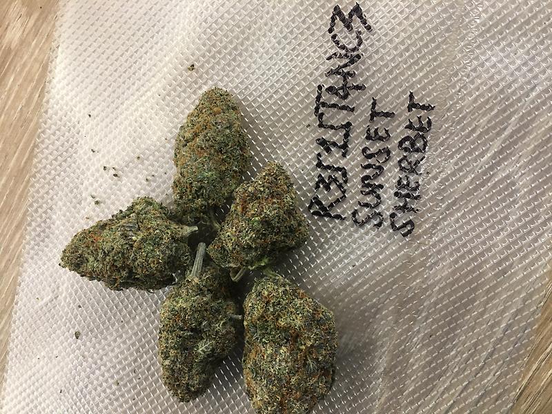 SUNSET SHERBET SPANISH IMPORT INDOOR LED LIGHT GROWN