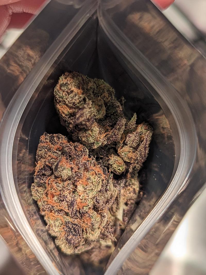 London New Premium Exotics with Packs🇬🇧