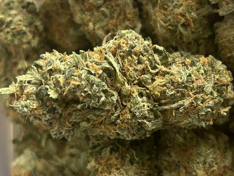 Forbidden Fruit - german grown