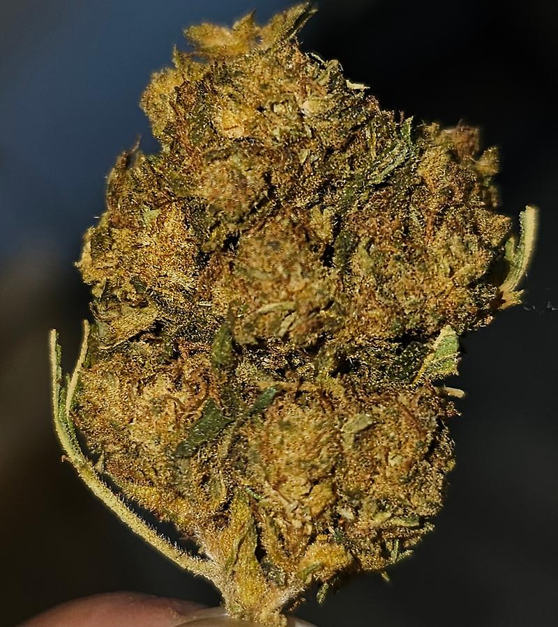 Gorilla Mintz Cheap OZs Free Delivery 📫