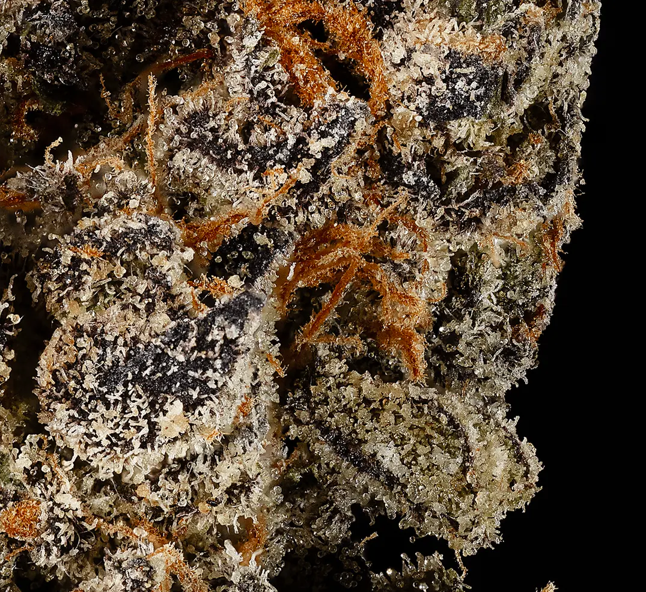 Exodus | Tyson 2.0 Medical Cannabis