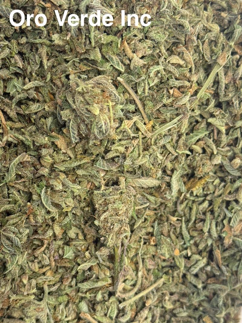 Popcorn buds / shake 🇬🇧