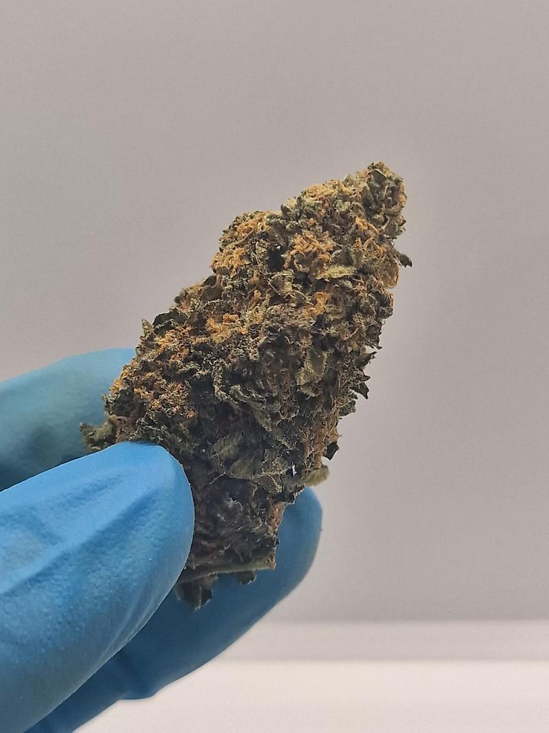 Absolutely Dank UK Grown Biscotti - Crazy Terps