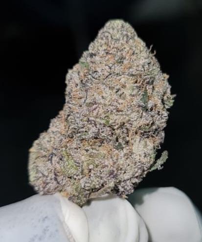 **TRUFFLEZ - (FREE RM 1ST CLASS SHIPPING)**