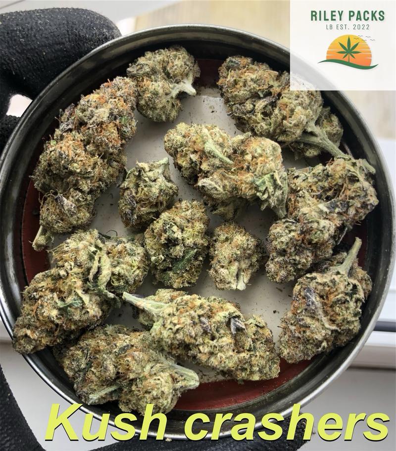 Rs-11 (Pink Guava x Ozk)