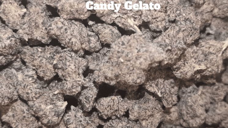 Top Shelf Exotics - Imported Loose Flower