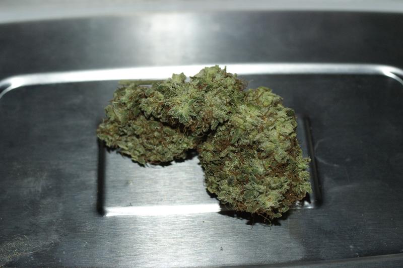 AG13 G13 X Haze A Rare Exotic Exclusive Flower