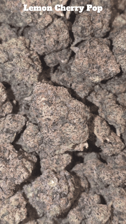 Top Shelf Exotics - Imported Loose Flower