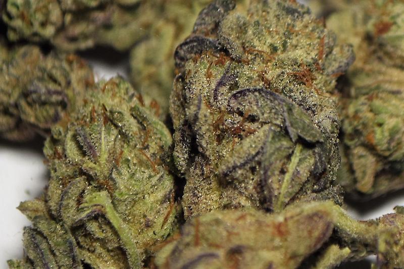 ***StarDawg*** - Lab Cultivated Imports