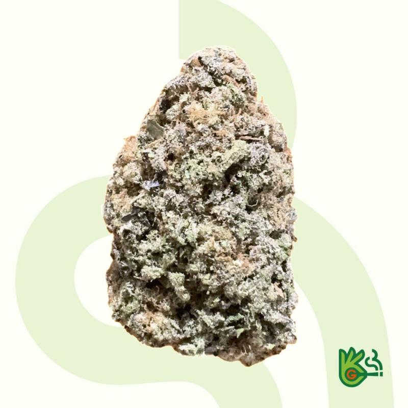 White Gumbo *Free Shipping*