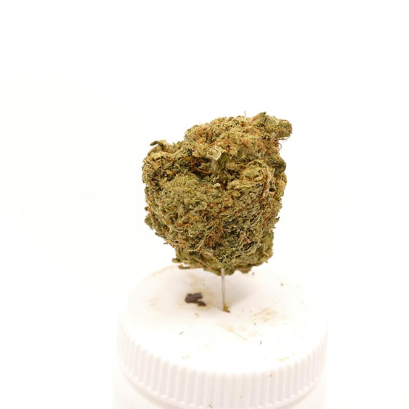 Divine: Canadian Dense & Dangerous "Death Bubba"