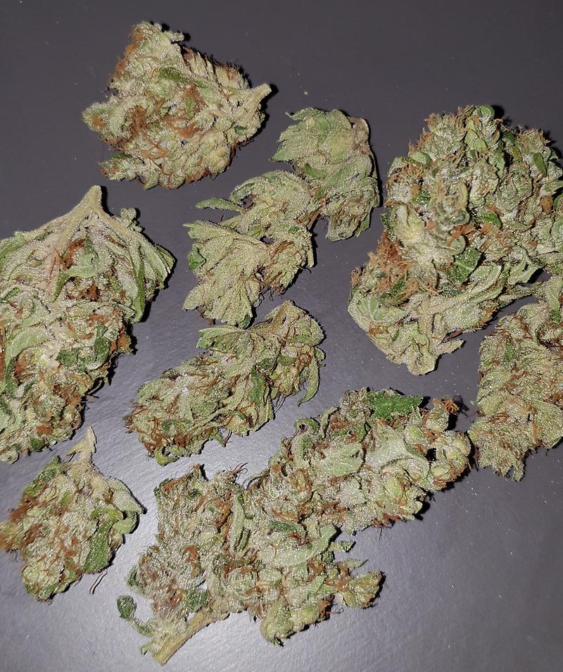 **BRUCE BANNER #3 / PRICE REDUCTION / AIRY BUDS**