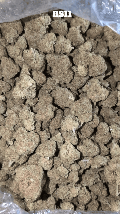 Cali Mids - Loose Import 🇺🇸