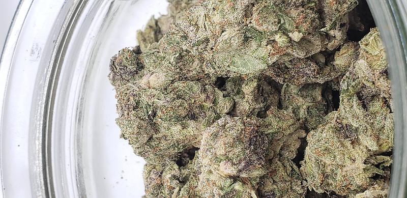 PINK PANTIES (INDICA)