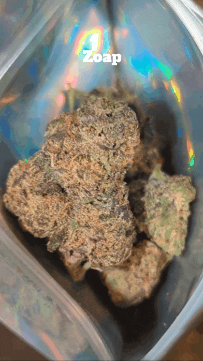 London New Premium Exotics with Packs🇬🇧