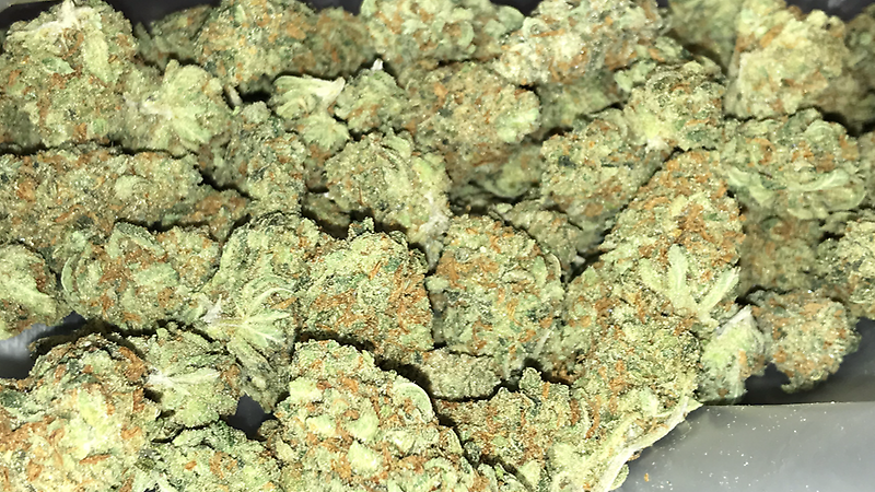 Old school ammy haze