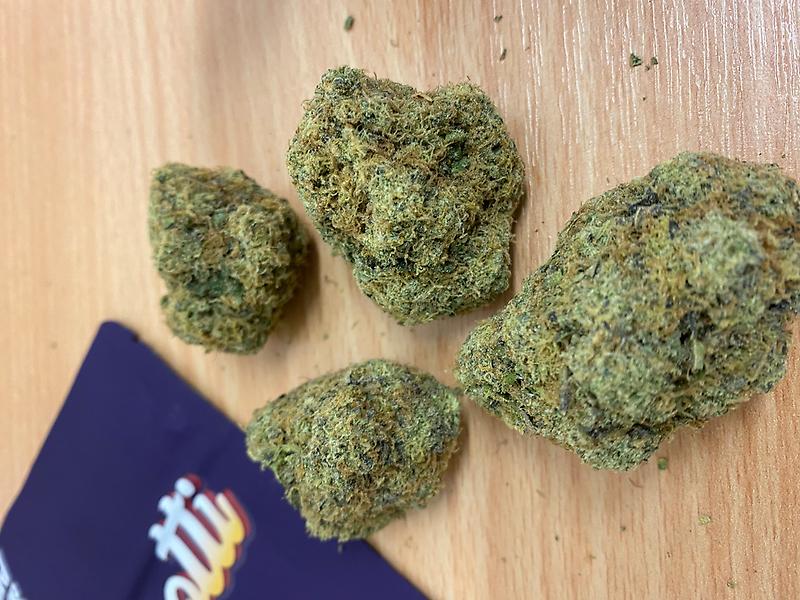 WIZARD TREES - BISCOTTI