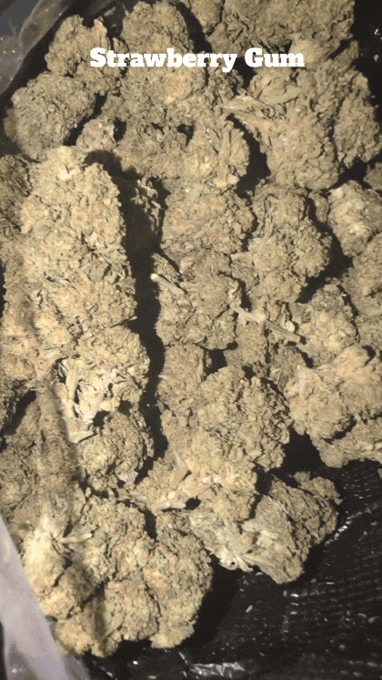 Cali Mids - Loose Import 🇺🇸